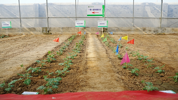 OEŷ��|�ٷ���վ